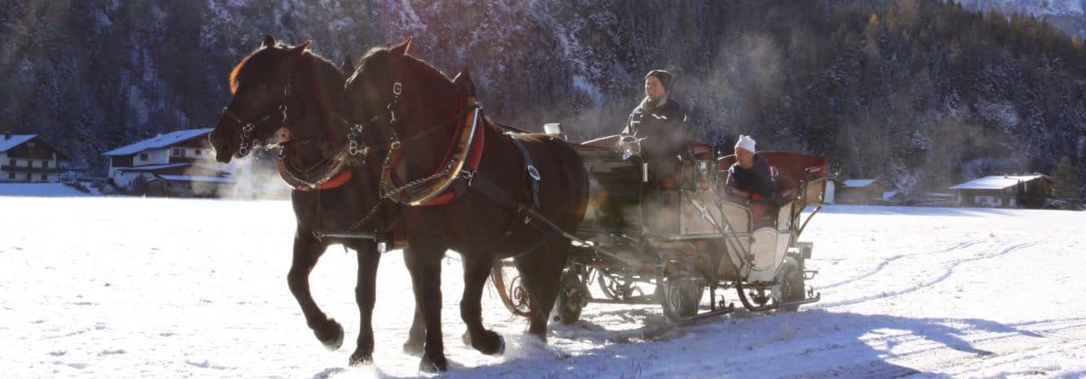 Kutschenfahren im Lechtal