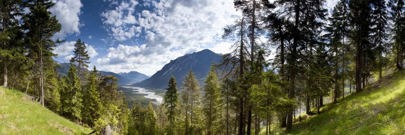 Lechzopf im Tiroler Lechtal